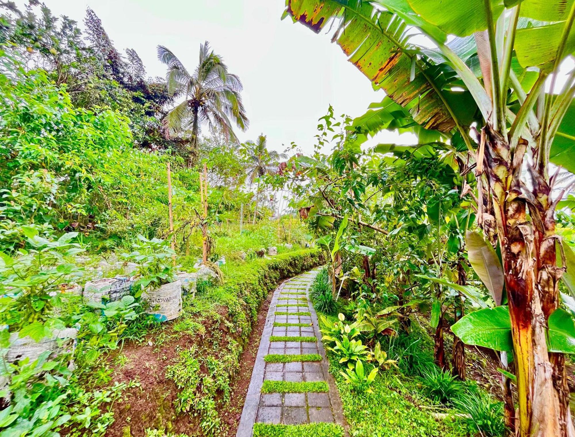 Pondok Is Oke Villa Scenic View Banyuwangi (East Java) Exterior foto