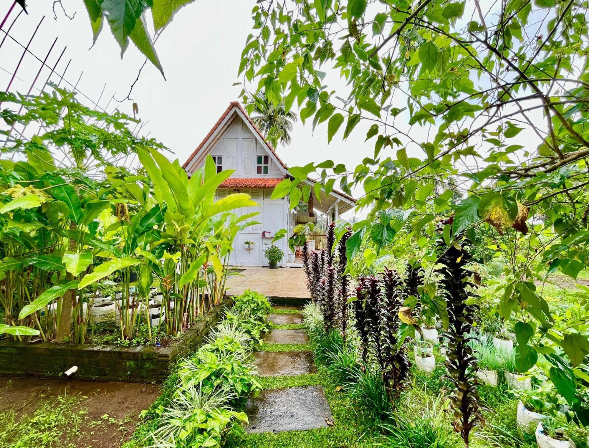 Pondok Is Oke Villa Scenic View Banyuwangi (East Java) Exterior foto