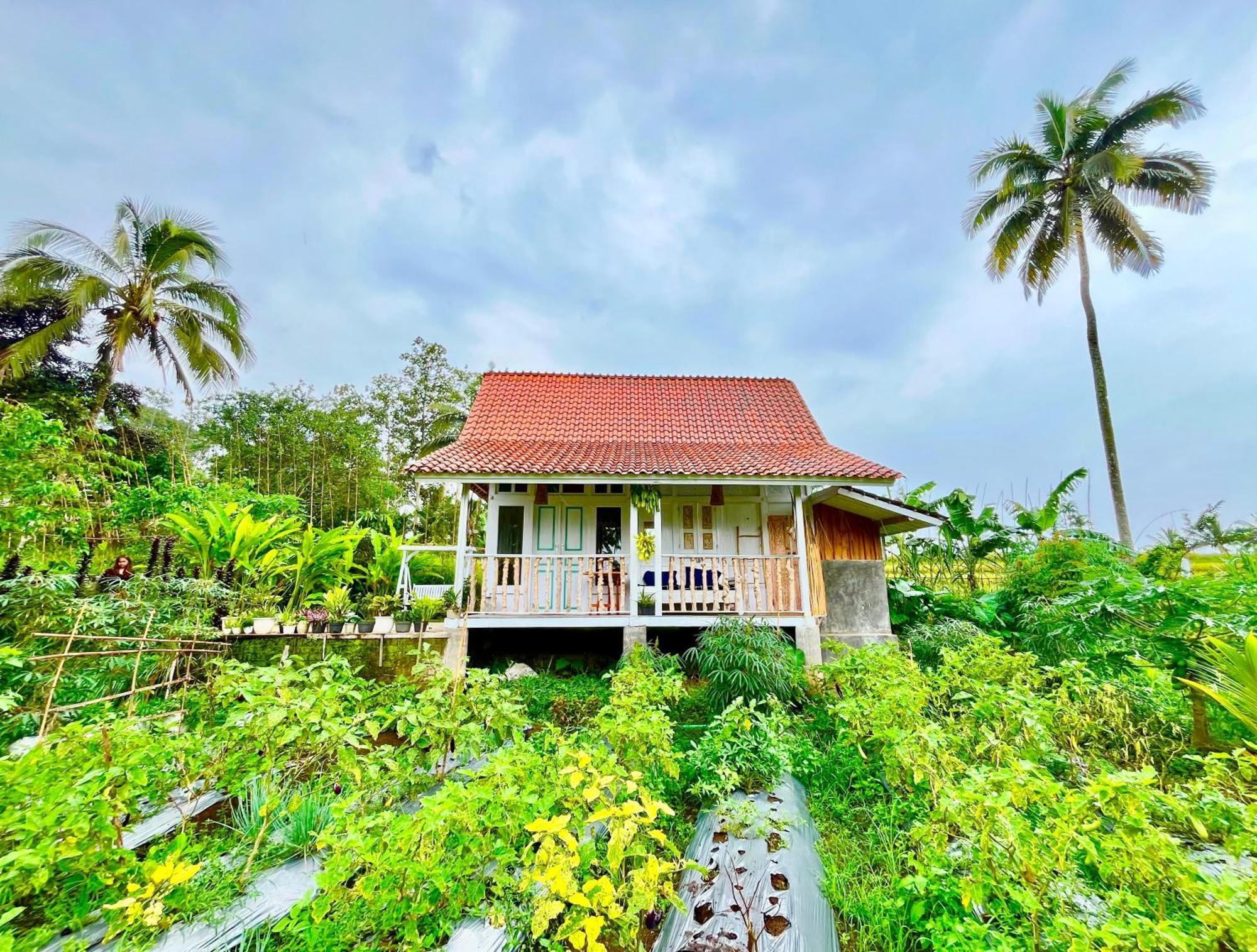 Pondok Is Oke Villa Scenic View Banyuwangi (East Java) Exterior foto