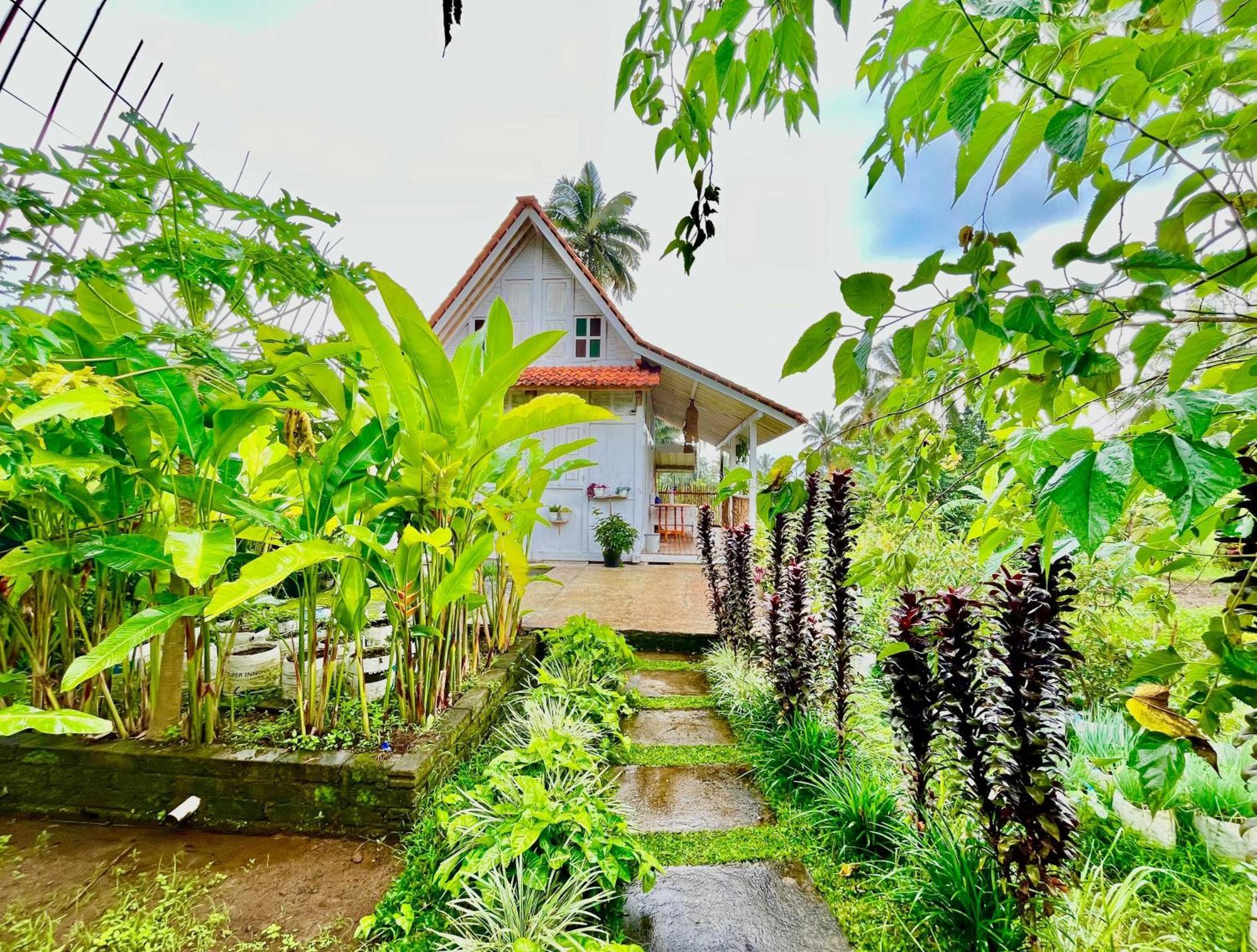 Pondok Is Oke Villa Scenic View Banyuwangi (East Java) Exterior foto