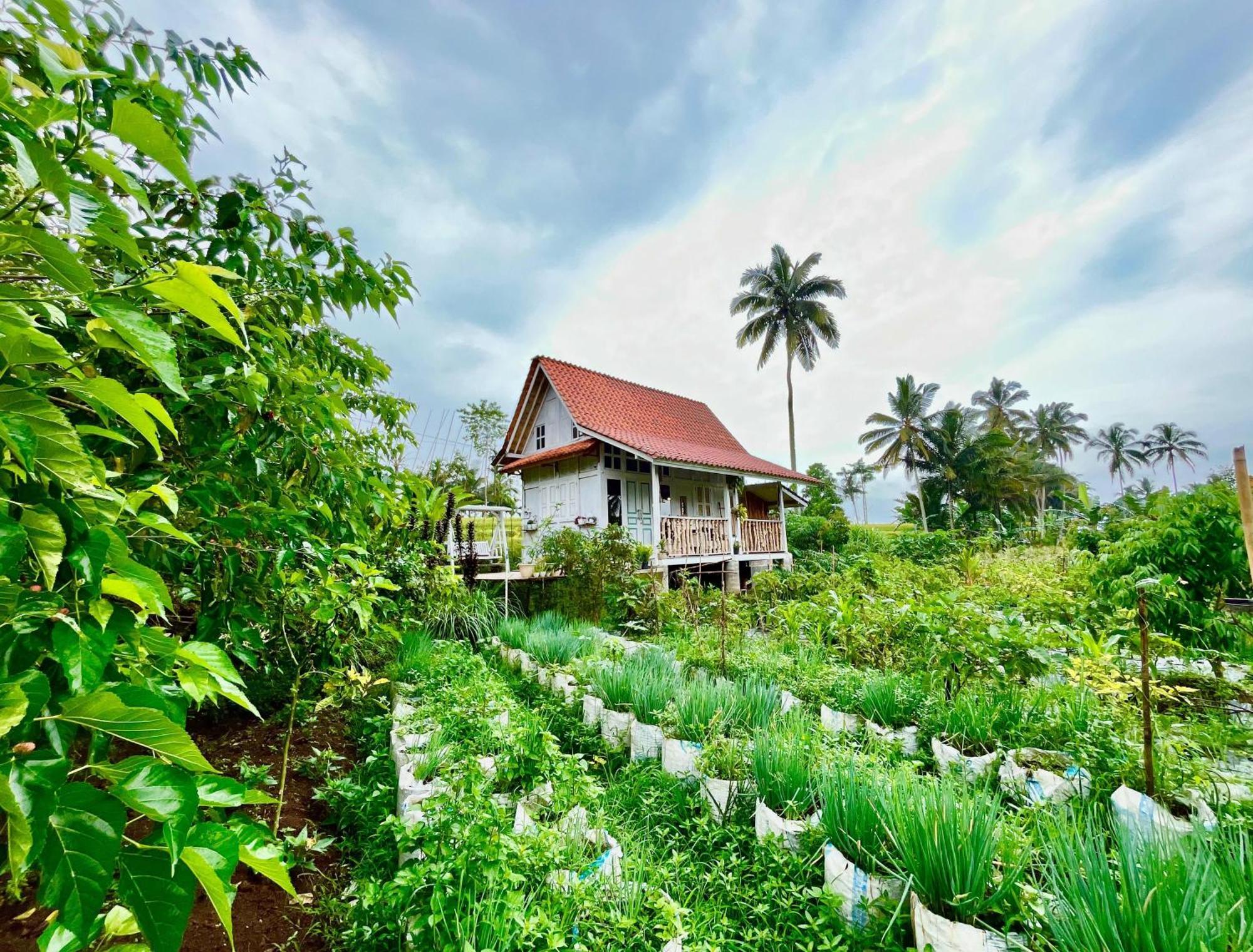 Pondok Is Oke Villa Scenic View Banyuwangi (East Java) Exterior foto