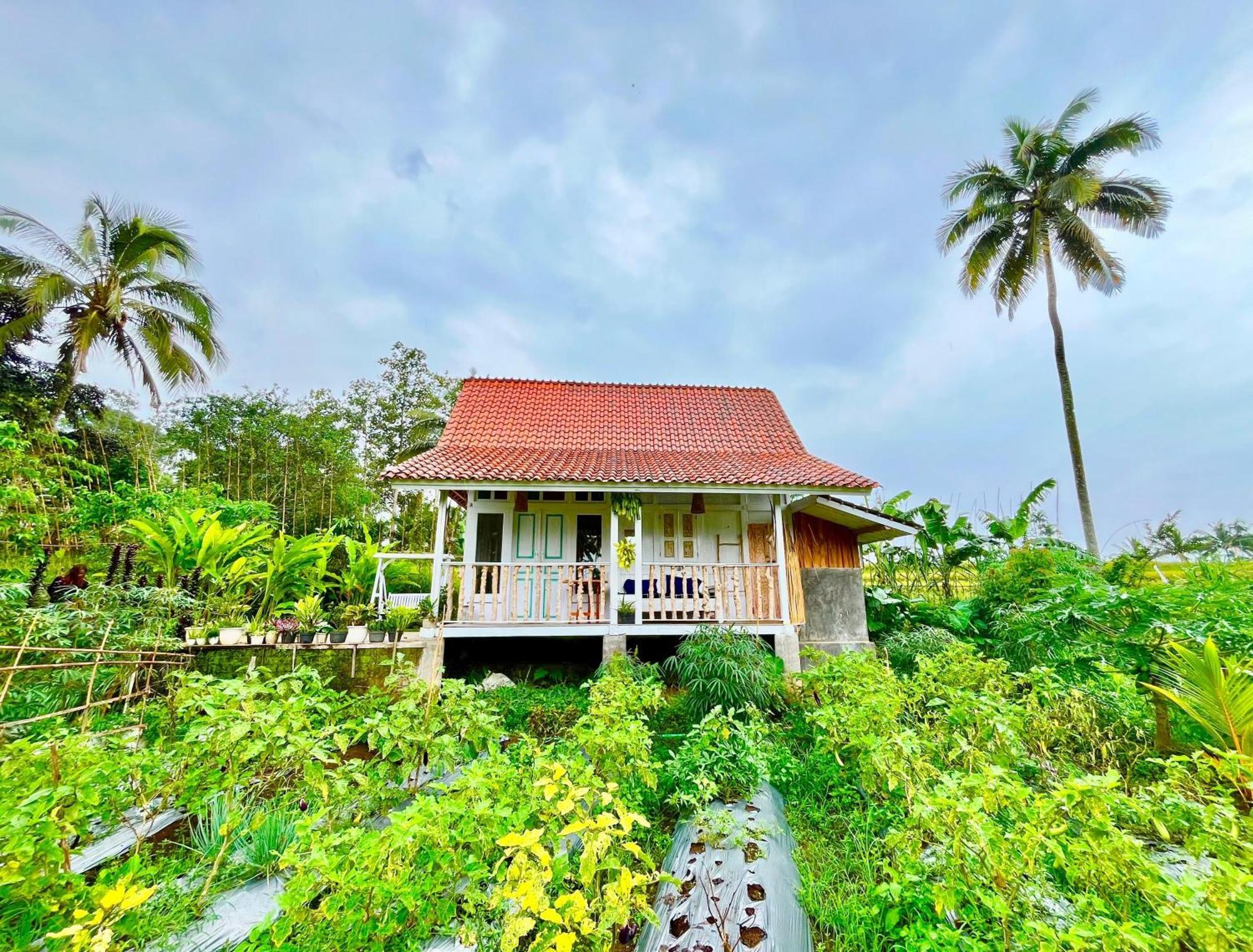 Pondok Is Oke Villa Scenic View Banyuwangi (East Java) Exterior foto