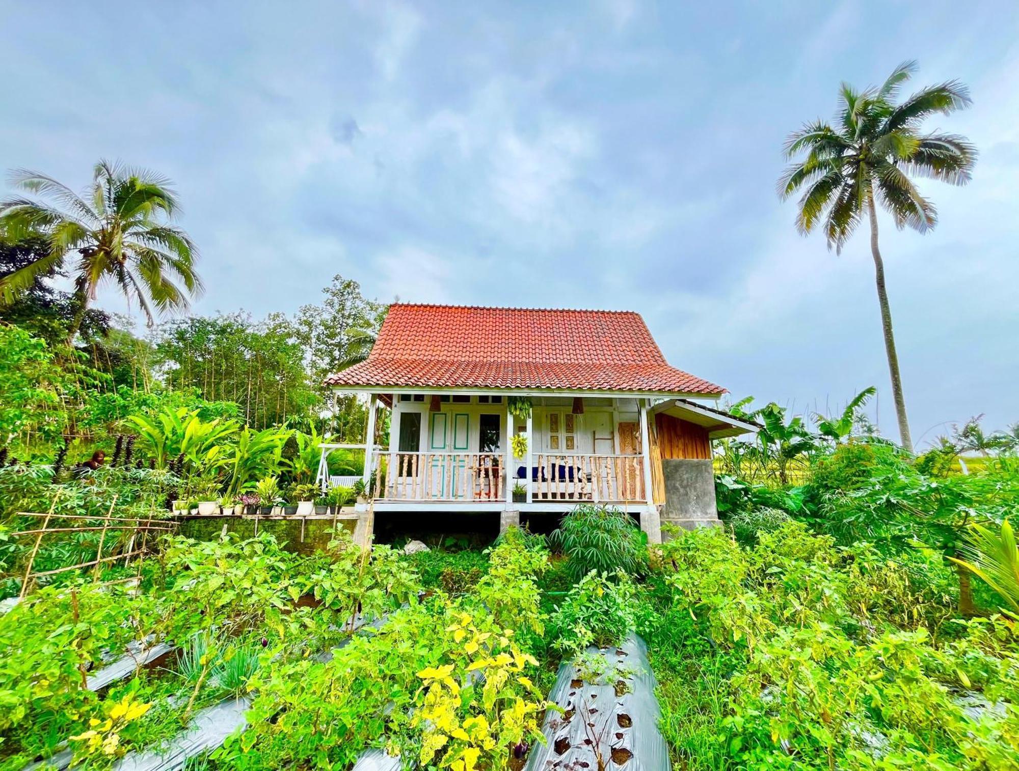 Pondok Is Oke Villa Scenic View Banyuwangi (East Java) Exterior foto