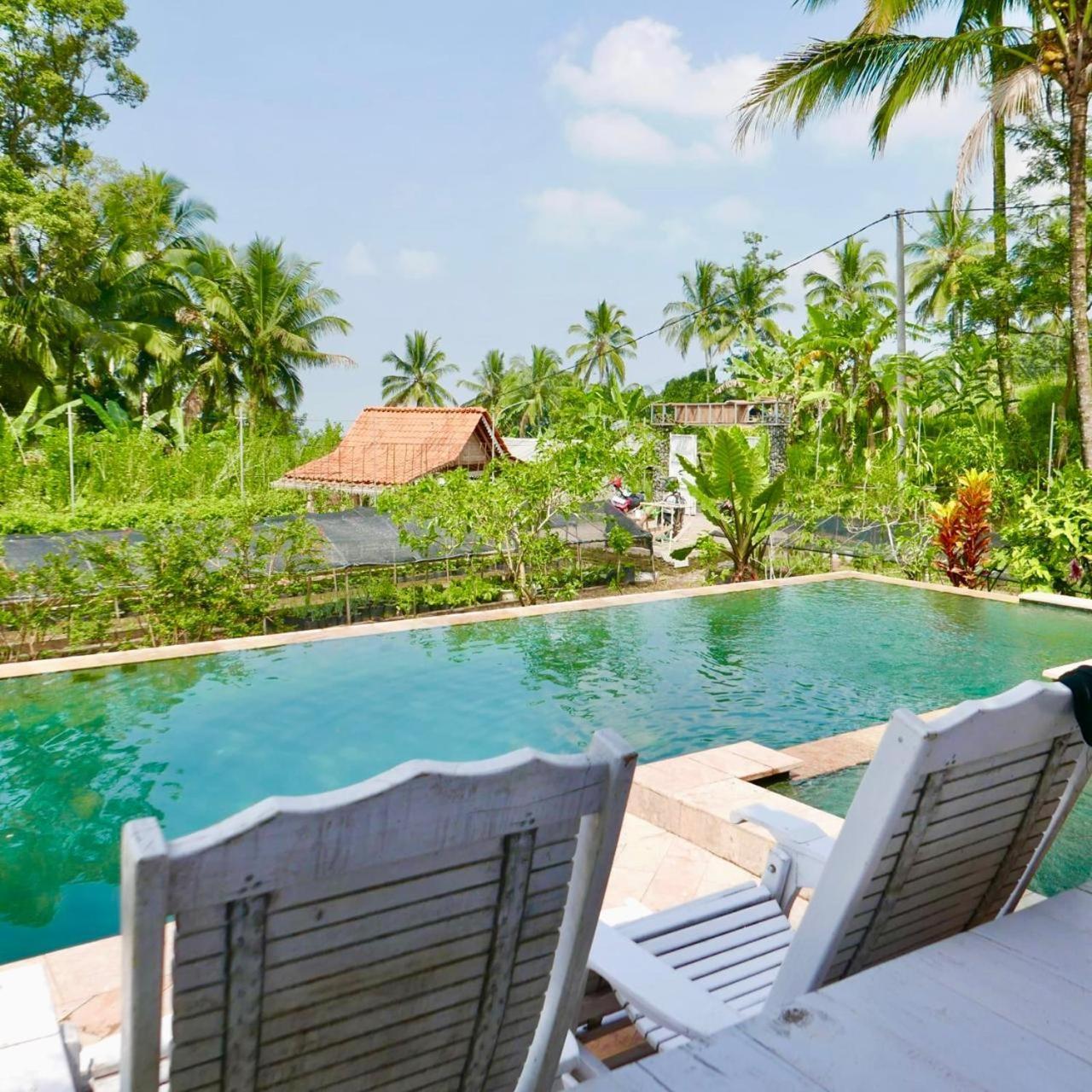 Pondok Is Oke Villa Scenic View Banyuwangi (East Java) Exterior foto
