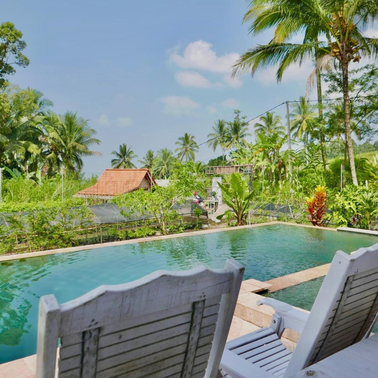 Pondok Is Oke Villa Scenic View Banyuwangi (East Java) Exterior foto