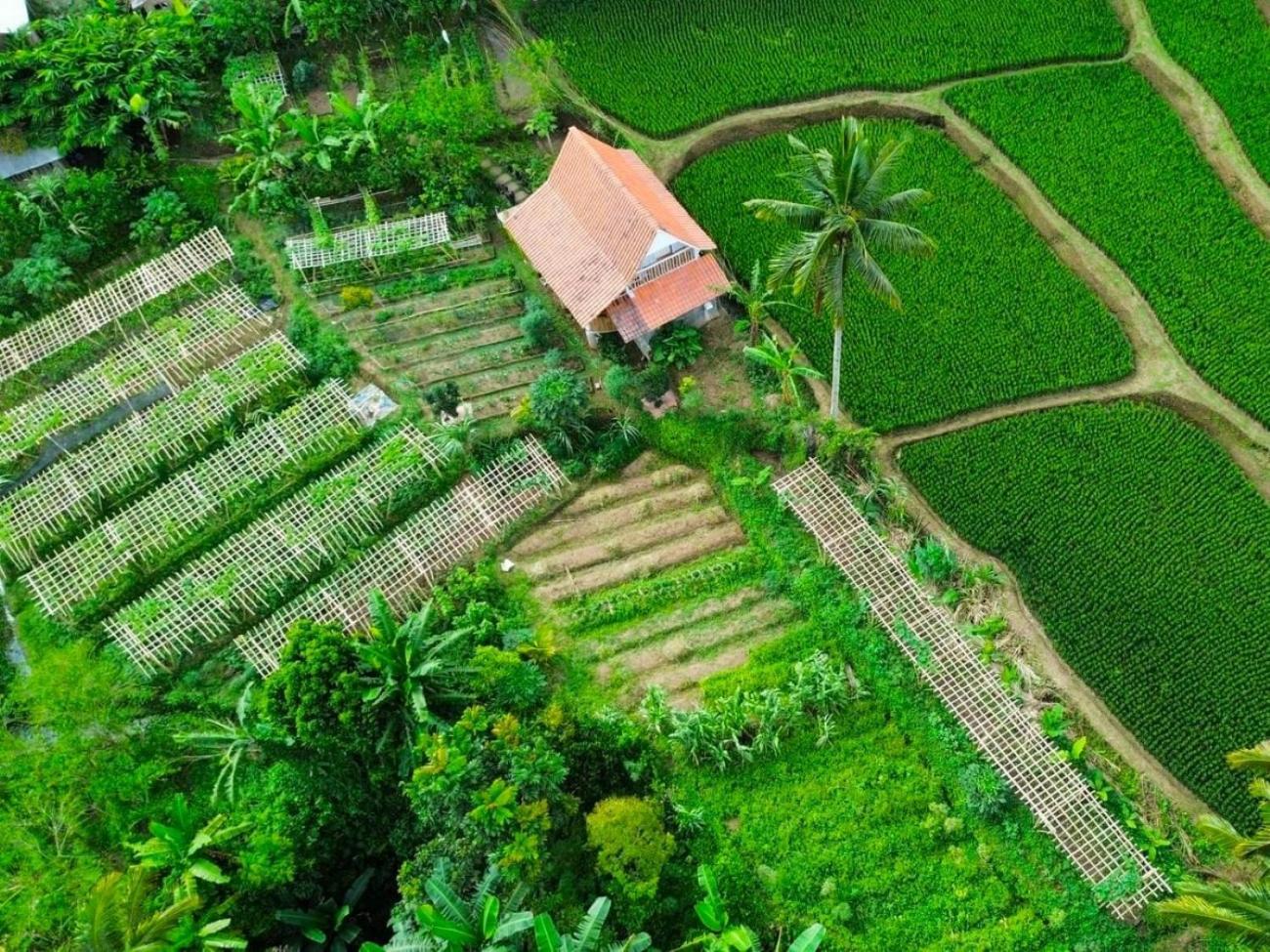 Pondok Is Oke Villa Scenic View Banyuwangi (East Java) Exterior foto