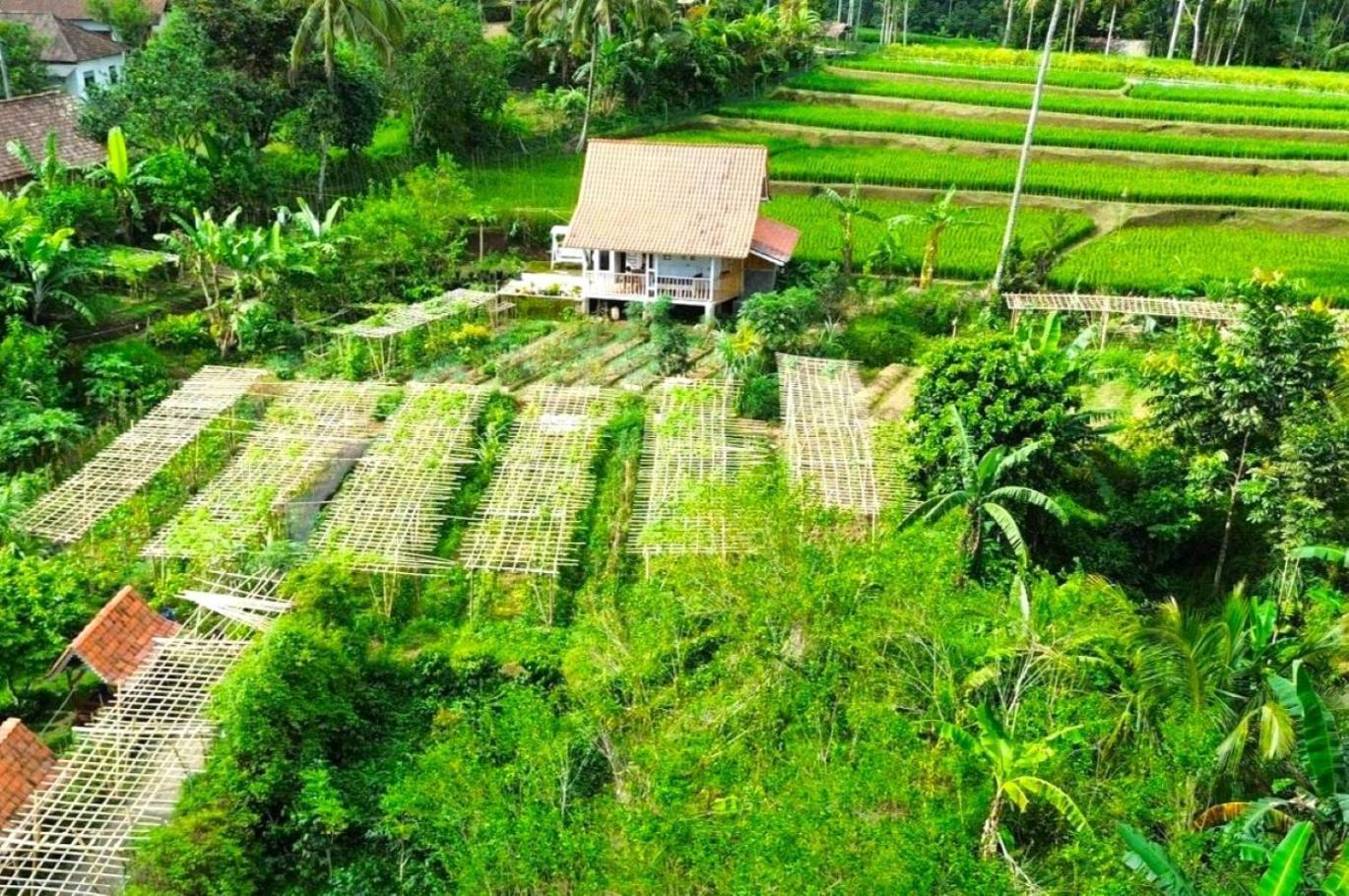 Pondok Is Oke Villa Scenic View Banyuwangi (East Java) Exterior foto