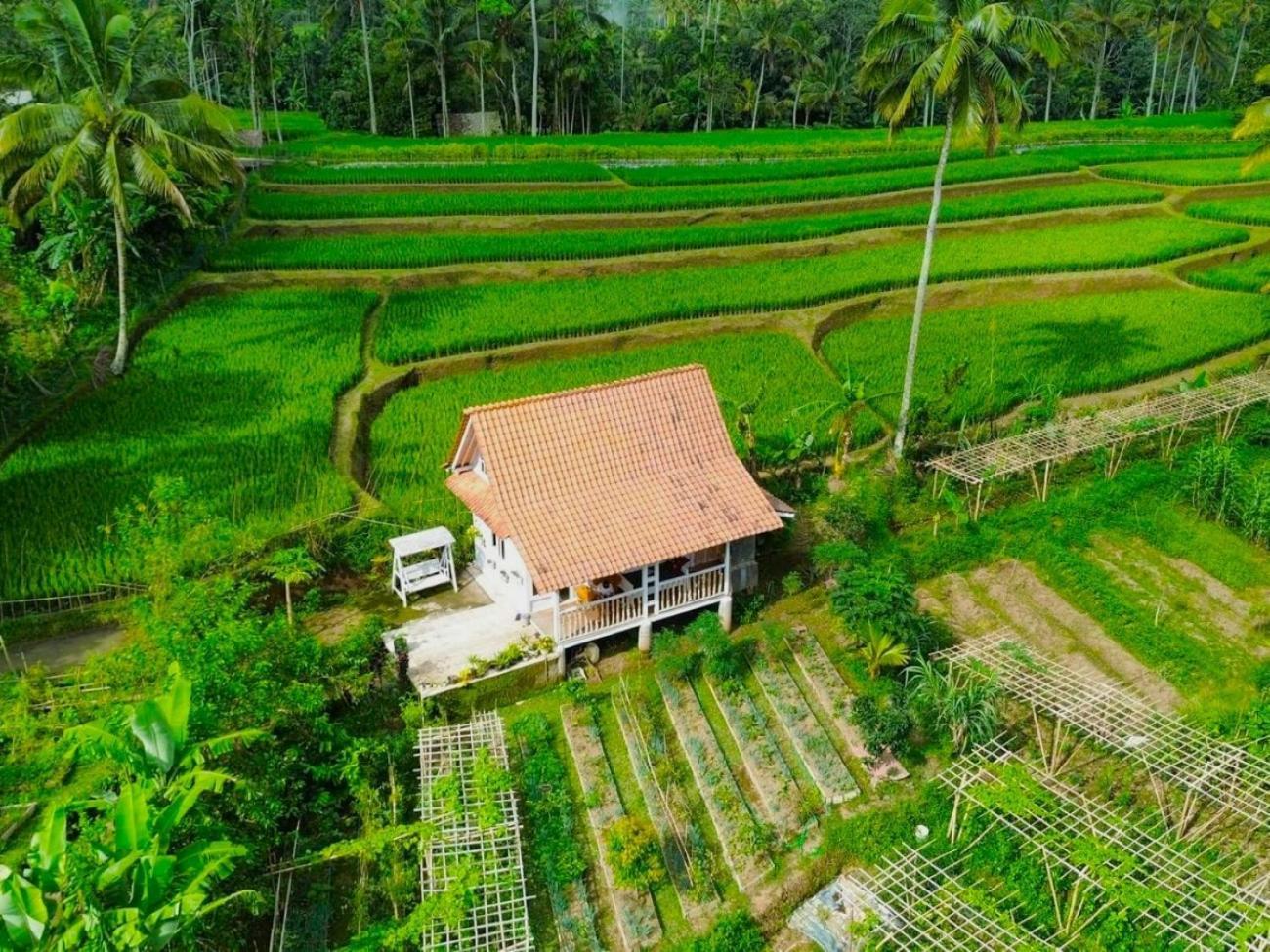 Pondok Is Oke Villa Scenic View Banyuwangi (East Java) Exterior foto