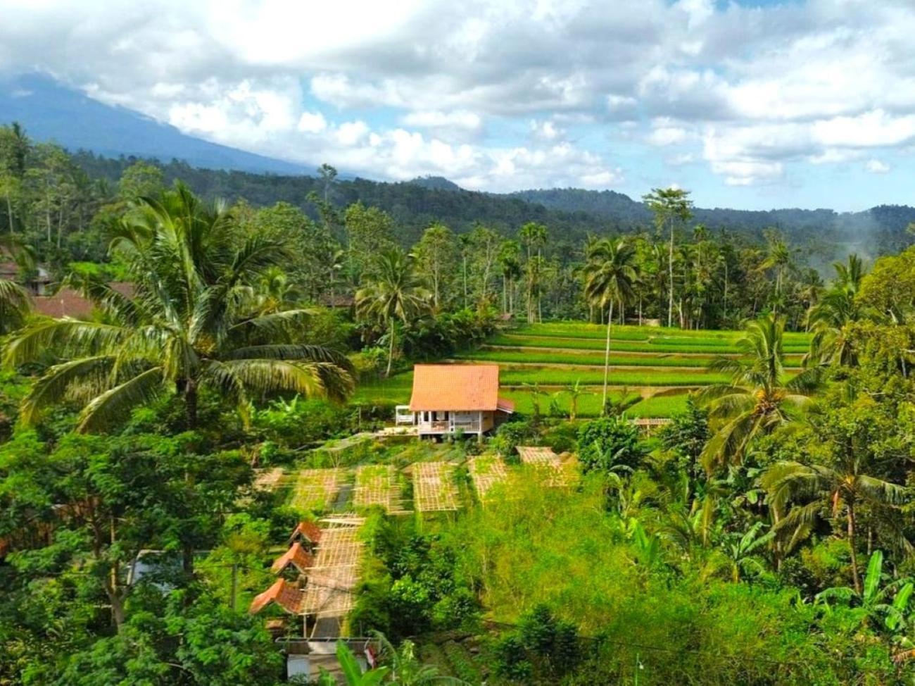 Pondok Is Oke Villa Scenic View Banyuwangi (East Java) Exterior foto