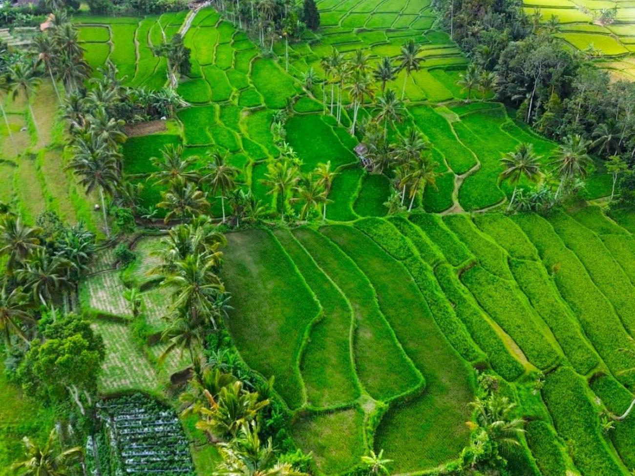Pondok Is Oke Villa Scenic View Banyuwangi (East Java) Exterior foto
