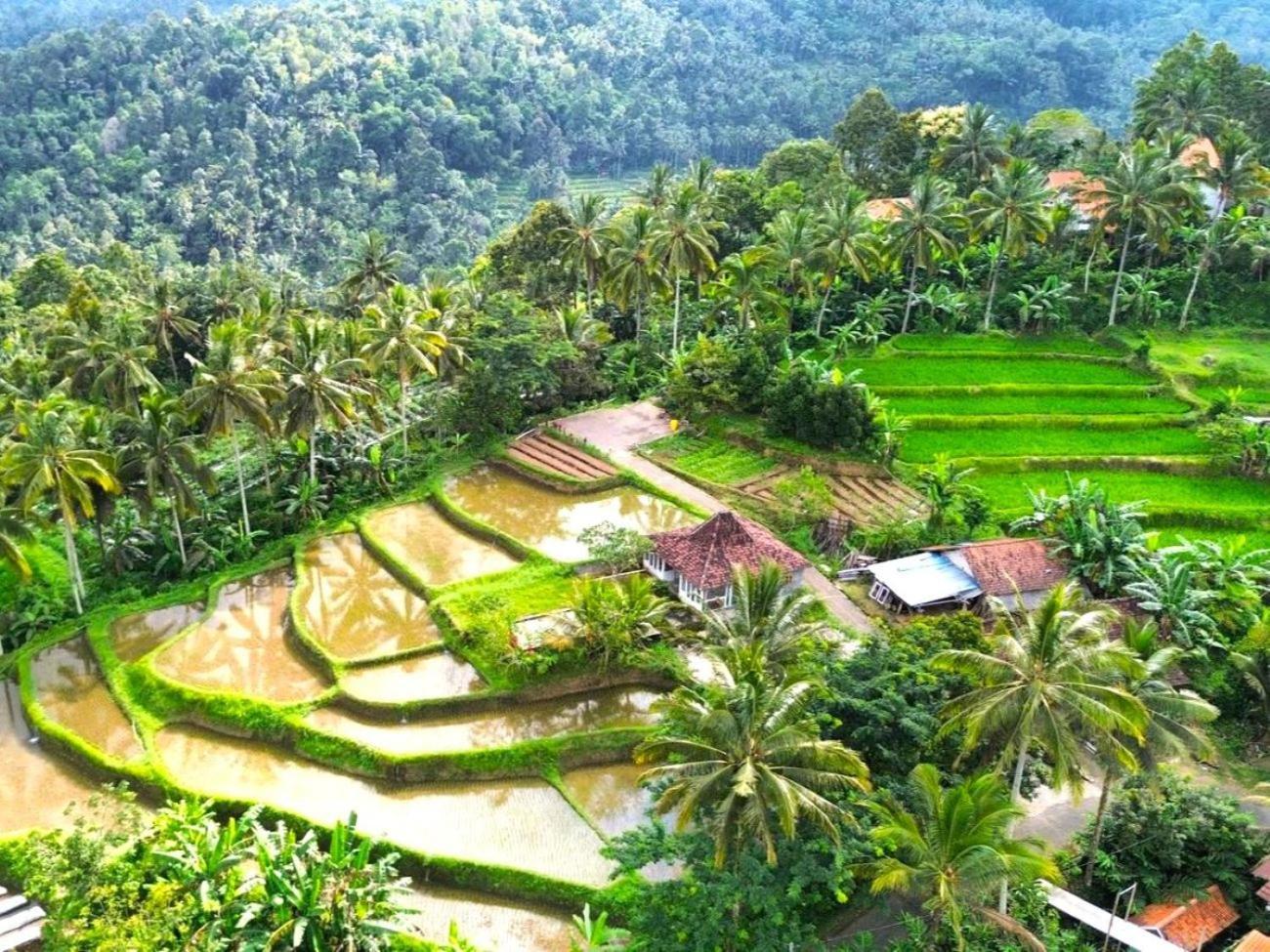 Pondok Is Oke Villa Scenic View Banyuwangi (East Java) Exterior foto