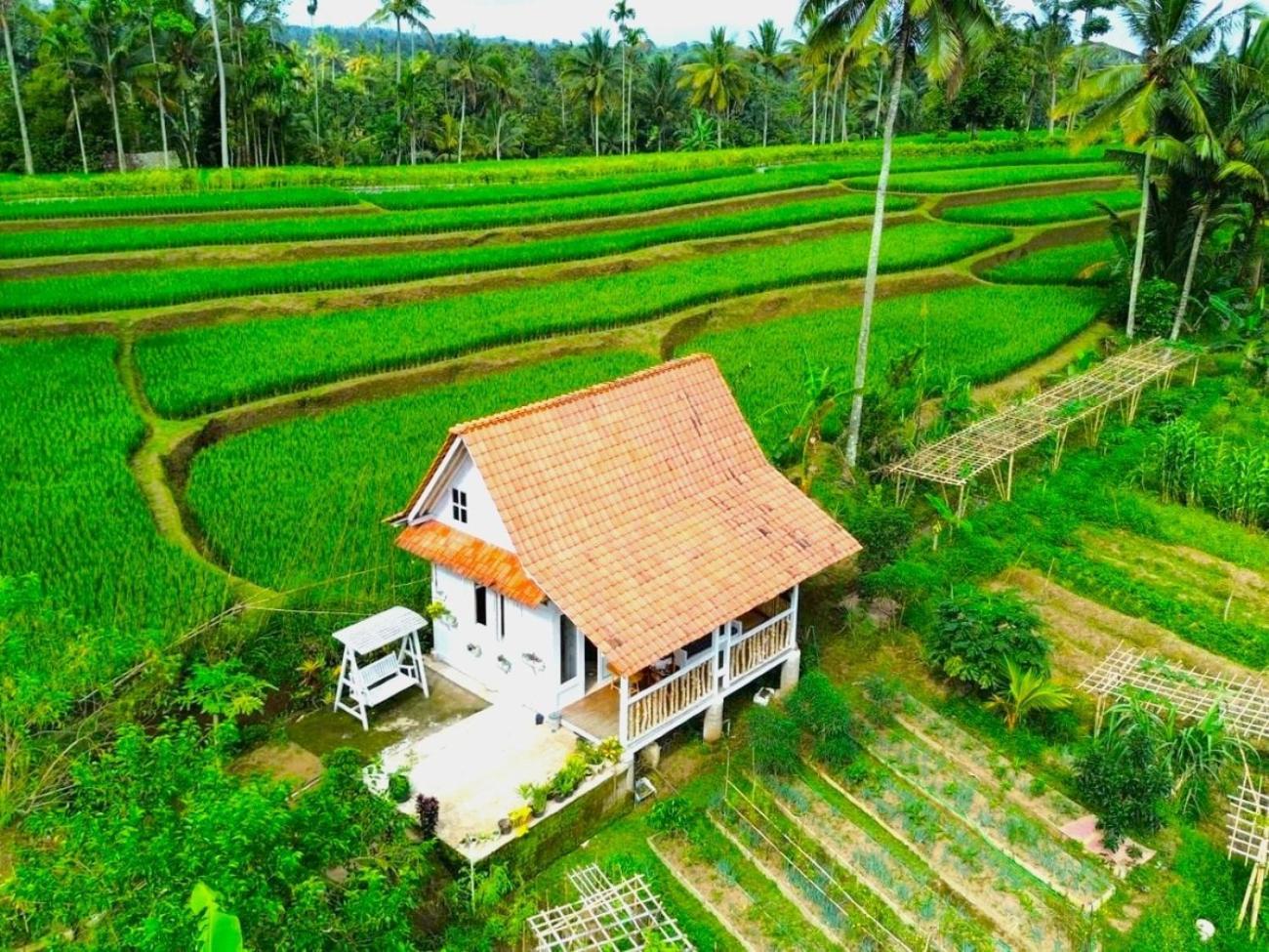 Pondok Is Oke Villa Scenic View Banyuwangi (East Java) Exterior foto